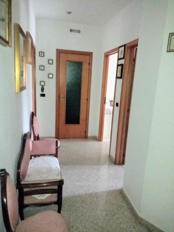 appartamento in vendita a Bisceglie