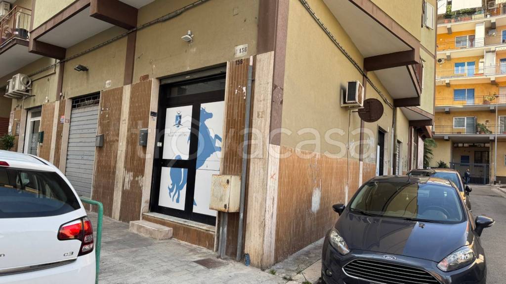 immagine annuncio 0 di 6