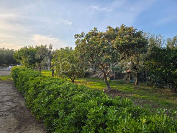 terreno agricolo in vendita a Bisceglie