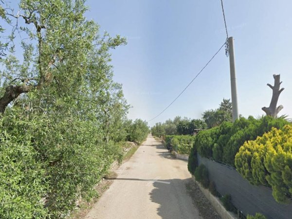 terreno agricolo in vendita a Bisceglie