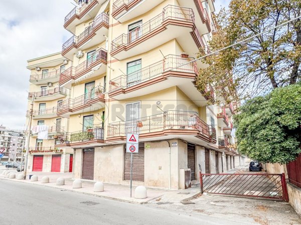 appartamento in vendita a Bisceglie