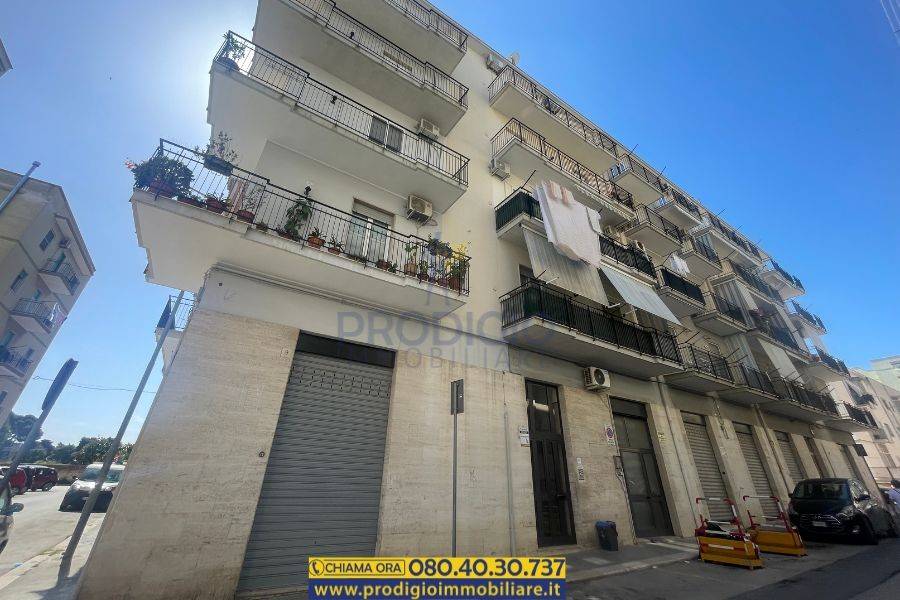 appartamento in vendita a Bisceglie