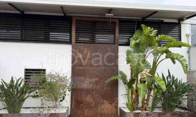 locale commerciale in vendita a Bisceglie