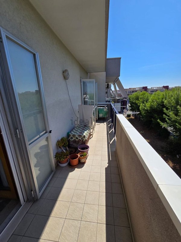 appartamento in vendita a Bisceglie