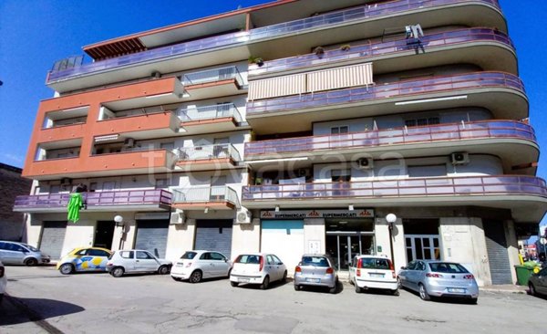 appartamento in vendita a Bisceglie
