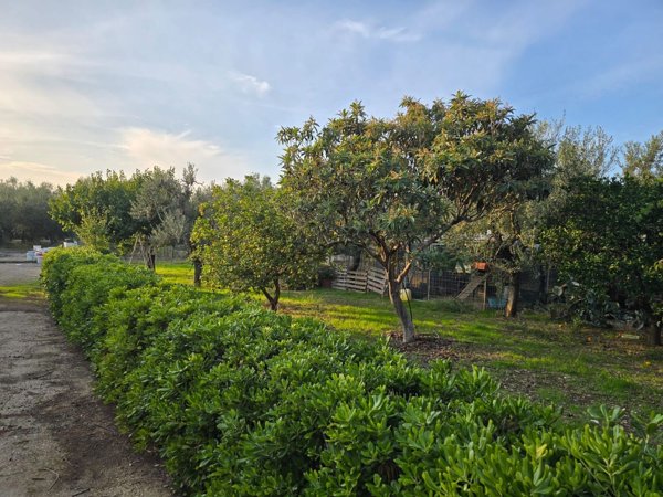 terreno agricolo in vendita a Bisceglie