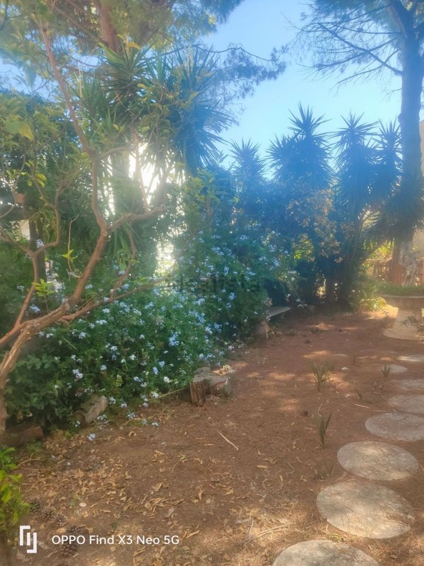 appartamento in vendita a Bisceglie