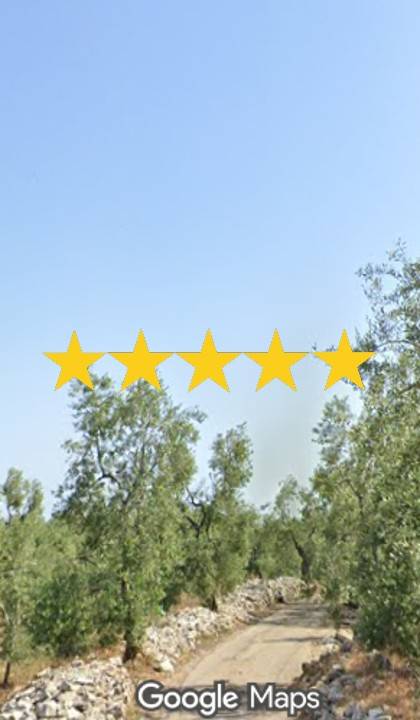 casa indipendente in vendita a Bisceglie