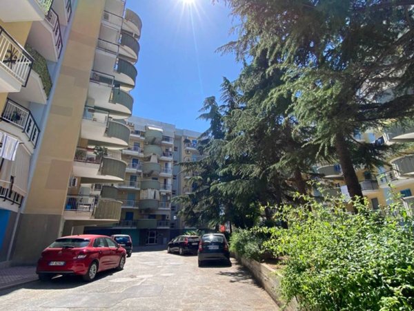 appartamento in vendita a Bisceglie