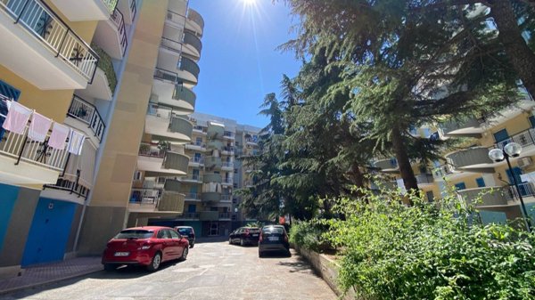 appartamento in vendita a Bisceglie