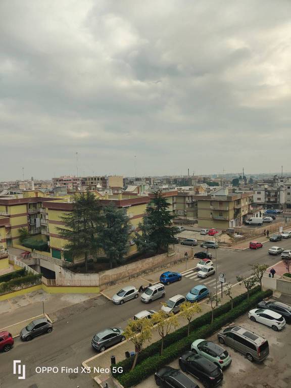 appartamento in vendita a Bisceglie