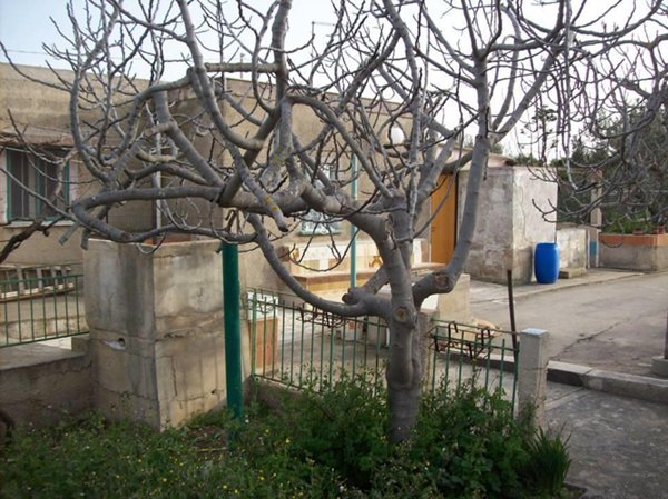 casa indipendente in vendita a Bisceglie