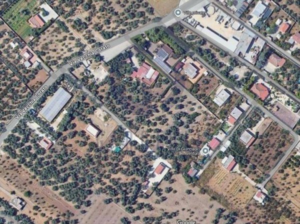 terreno agricolo in vendita a Bisceglie in zona Centro Città