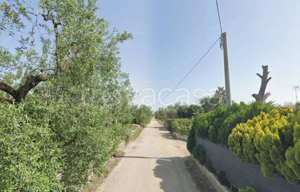 trivano in vendita a Bisceglie