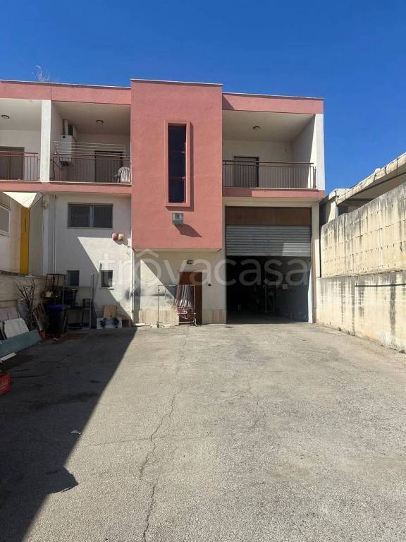 appartamento in vendita a Bisceglie