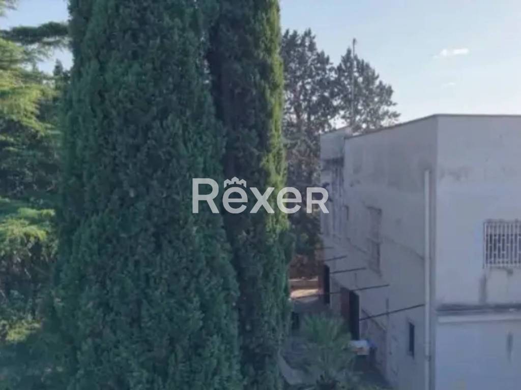 casa indipendente in vendita a Bisceglie