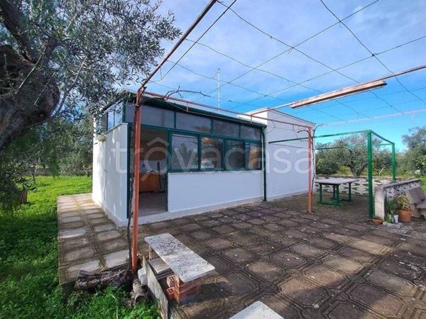 casa indipendente in vendita a Bisceglie