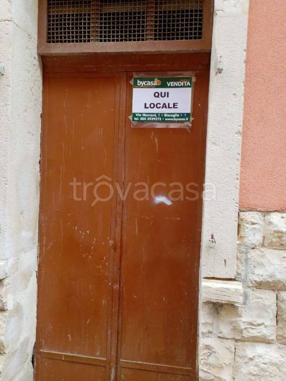 appartamento in vendita a Bisceglie