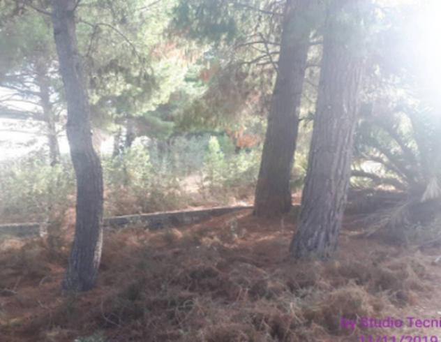 terreno agricolo in vendita a Bisceglie
