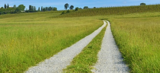 casa indipendente in vendita a Bisceglie