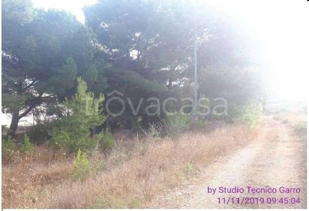 terreno agricolo in vendita a Bisceglie