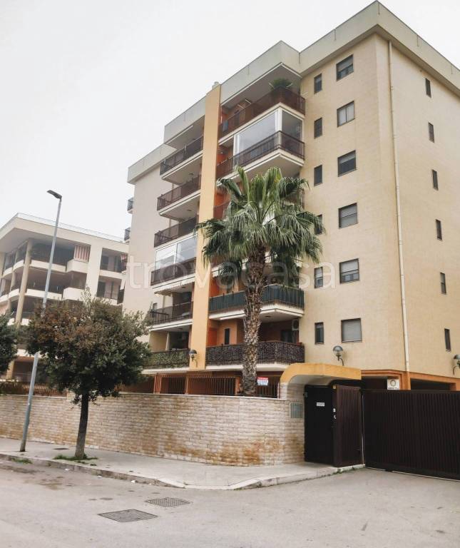 appartamento in vendita a Bisceglie