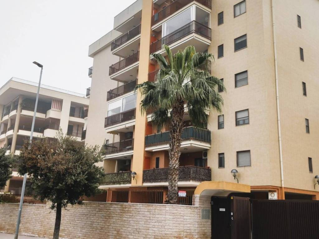 appartamento in vendita a Bisceglie