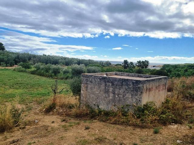 terreno agricolo in vendita a Bisceglie