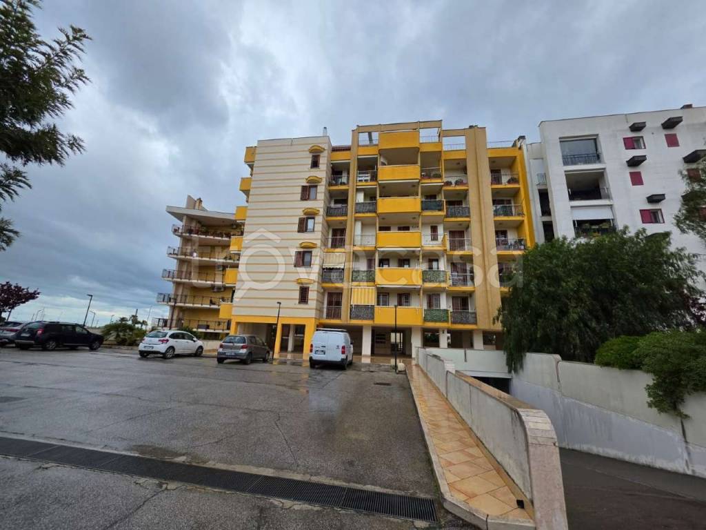 appartamento in vendita a Bisceglie