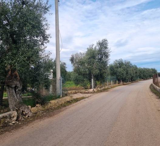 terreno agricolo in vendita a Bisceglie