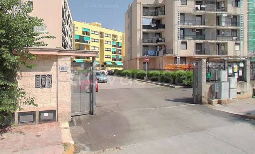 appartamento in vendita a Bisceglie