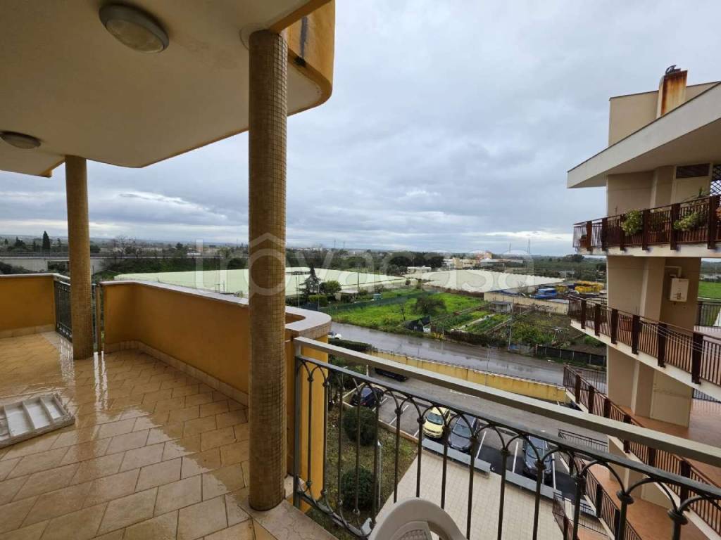 appartamento in vendita a Bisceglie