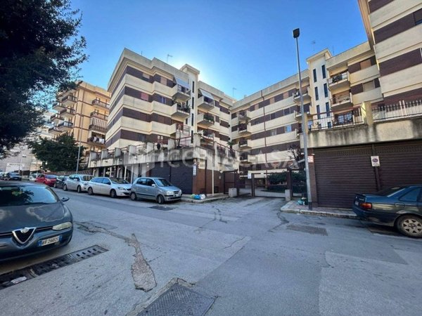 appartamento in vendita a Bisceglie