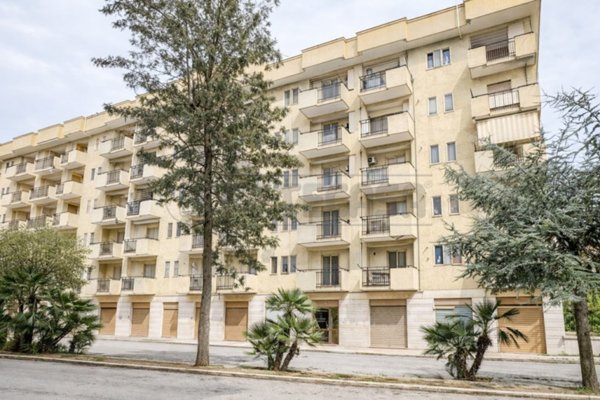 appartamento in vendita a Bisceglie