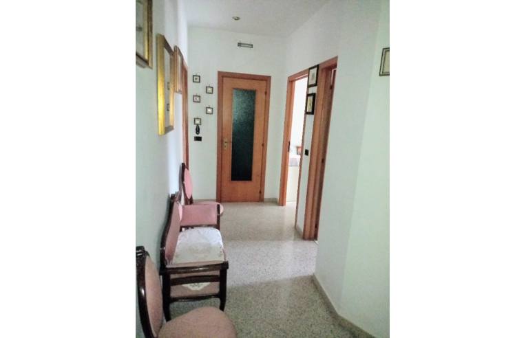 appartamento in vendita a Bisceglie