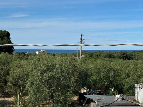 casa indipendente in vendita a Bisceglie