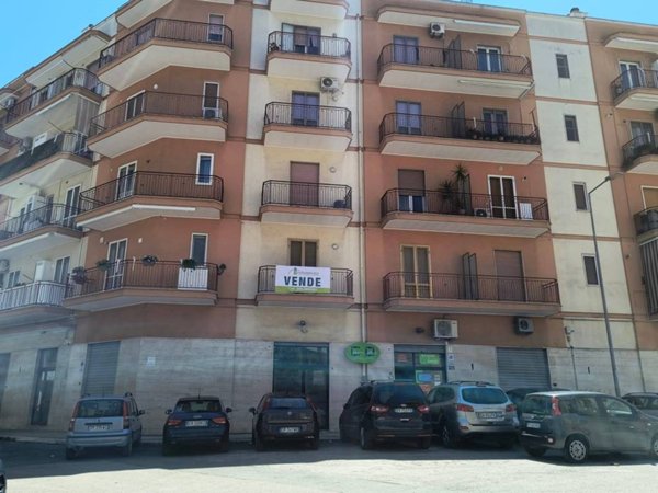 appartamento in vendita a Bisceglie in zona Centro Città