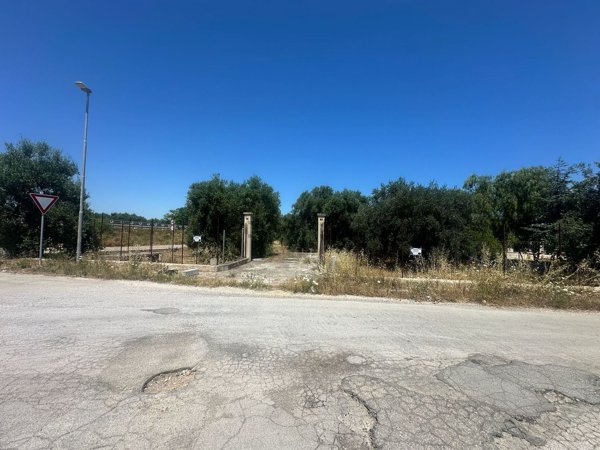 terreno agricolo in vendita a Bisceglie