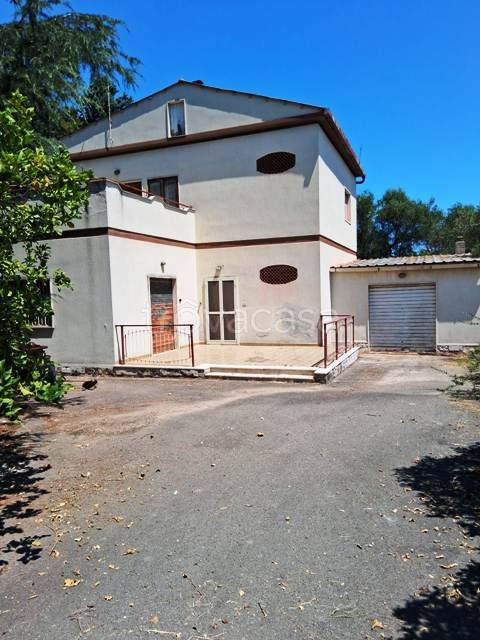 casa indipendente in vendita a Bisceglie