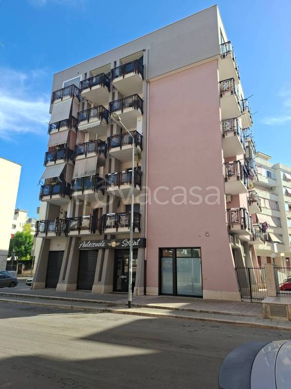 appartamento in vendita a Bisceglie