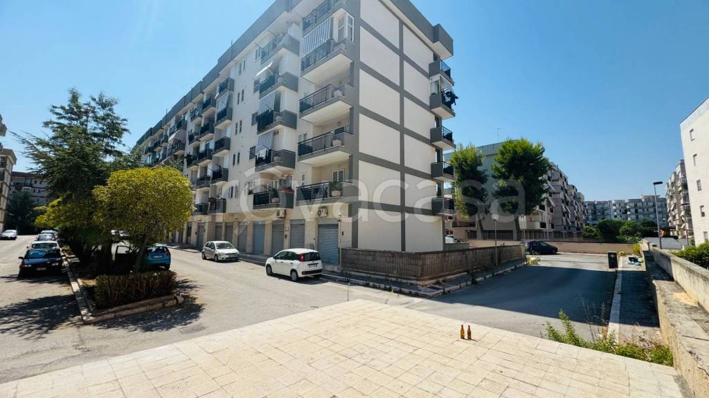 appartamento in vendita a Bisceglie