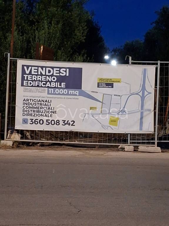 terreno agricolo in vendita a Bisceglie