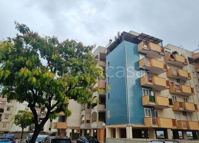 appartamento in vendita a Bisceglie