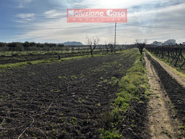 casa indipendente in vendita a Canosa di Puglia