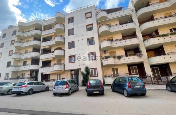 appartamento in vendita a Canosa di Puglia