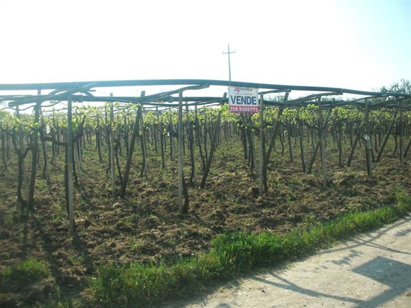 terreno agricolo in vendita a Canosa di Puglia