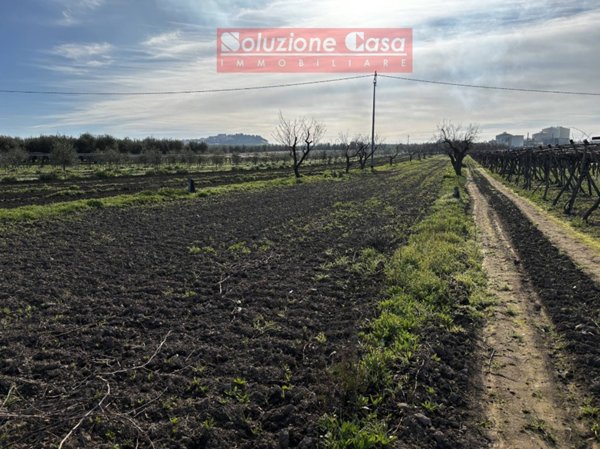 casa indipendente in vendita a Canosa di Puglia