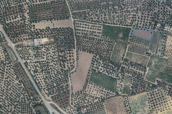 terreno agricolo in vendita a Canosa di Puglia