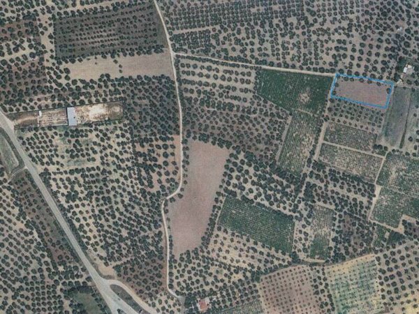 terreno agricolo in vendita a Canosa di Puglia