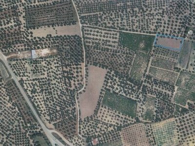 terreno agricolo in vendita a Canosa di Puglia